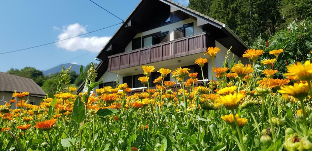 莫斯特拉纳Savadolinka House公寓 外观 照片